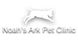 Noah's Ark Pet Clinic in NY .